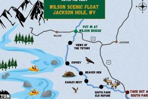 Guide to Jackson WY River Rafting Trips & Tours | Your Ultimate Guide to Rafting Adventures, Gear & River Trips