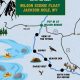 Guide to Jackson WY River Rafting Trips & Tours | Your Ultimate Guide to Rafting Adventures, Gear & River Trips