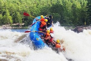 Thrilling Ottawa River Rafting Adventures Await! Your Ultimate Guide to Rafting Adventures, Gear & River Trips Thrilling Ottawa River Rafting Adventures Await! | Your Ultimate Guide to Rafting Adventures, Gear & River Trips
