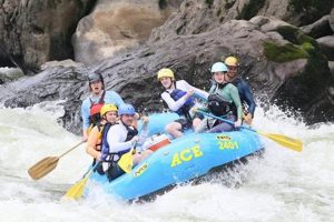 Ace Whitewater Rafting WV: New River & Gauley Adventures! | Your Ultimate Guide to Rafting Adventures, Gear & River Trips