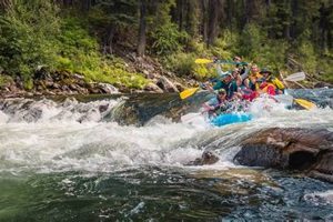 Experience Salmon River Recreation: Kookaburra Rafting Adventures! | Your Ultimate Guide to Rafting Adventures, Gear & River Trips