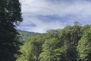 Thrilling Berkshire White Water Rafting Adventures! | Your Ultimate Guide to Rafting Adventures, Gear & River Trips