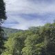 Thrilling Berkshire White Water Rafting Adventures! | Your Ultimate Guide to Rafting Adventures, Gear & River Trips