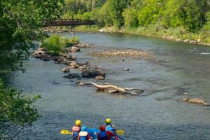 Best River Rafting Durango: Tours & Animas Thrills! | Your Ultimate Guide to Rafting Adventures, Gear & River Trips