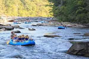 Thrilling Chattooga White Water Rafting Adventures! | Your Ultimate Guide to Rafting Adventures, Gear & River Trips