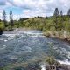 Plan Your South Fork American River White Water Rafting Trip Now! | Your Ultimate Guide to Rafting Adventures, Gear & River Trips