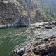 Book Rogue River Rafting Tours Now! Adventure Awaits | Your Ultimate Guide to Rafting Adventures, Gear & River Trips