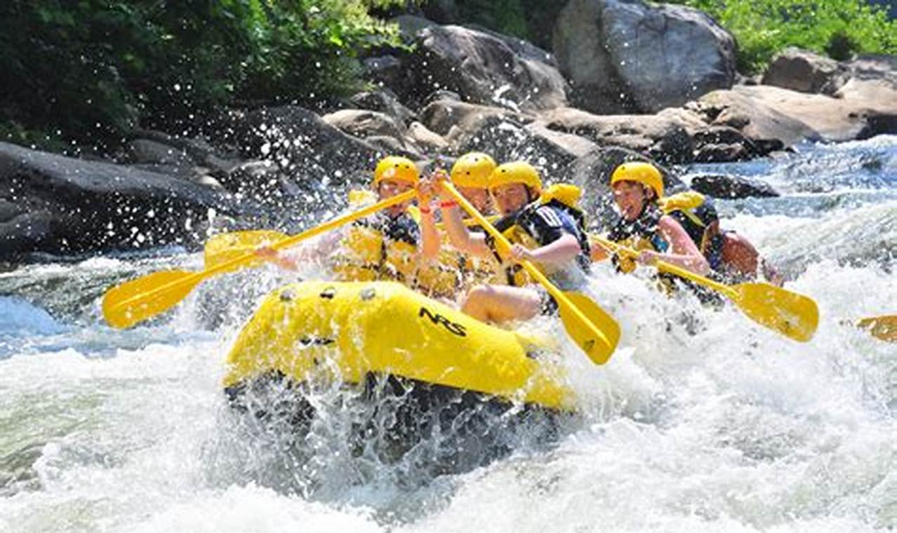 Plan Your Cheat River White Water Rafting Trip Today! Your Ultimate Guide to Rafting Adventures, Gear & River Trips Plan Your Cheat River White Water Rafting Trip Today! | Your Ultimate Guide to Rafting Adventures, Gear & River Trips