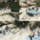 Vermillion River Rafting: Your Adventure Awaits! | Your Ultimate Guide to Rafting Adventures, Gear & River Trips