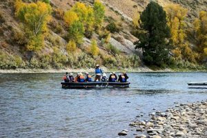 Plan Your Snake River Raft Trip: Tours, Gear & More! Your Ultimate Guide to Rafting Adventures, Gear & River Trips Plan Your Snake River Raft Trip: Tours, Gear & More! | Your Ultimate Guide to Rafting Adventures, Gear & River Trips