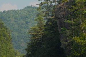 Adventure Saco River Rafting Trips | Maine Fun | Your Ultimate Guide to Rafting Adventures, Gear & River Trips