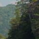 Adventure Saco River Rafting Trips | Maine Fun | Your Ultimate Guide to Rafting Adventures, Gear & River Trips
