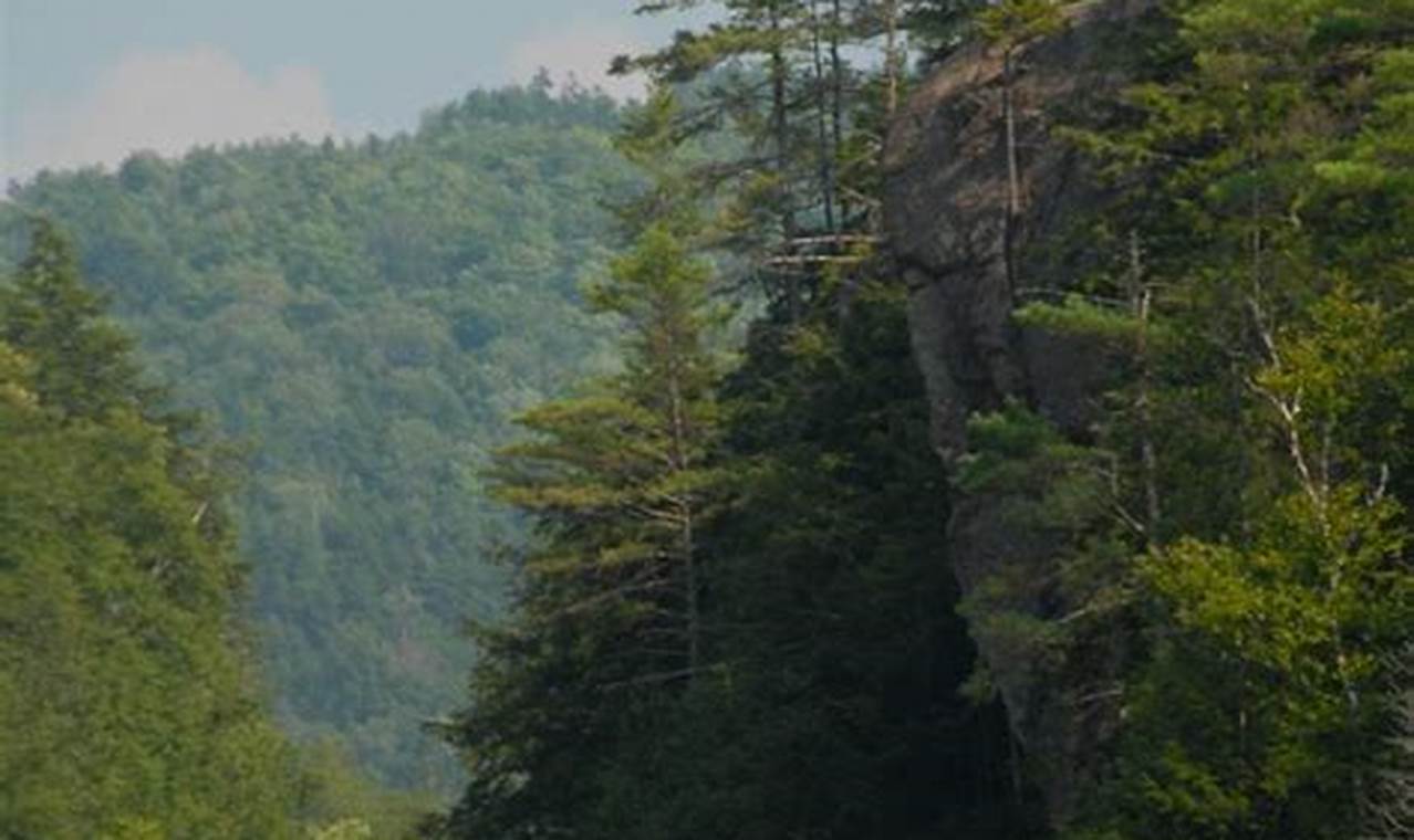 Adventure Saco River Rafting Trips | Maine Fun | Your Ultimate Guide to Rafting Adventures, Gear & River Trips