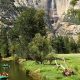 Your Guide: Yosemite Merced River Rafting Adventures! | Your Ultimate Guide to Rafting Adventures, Gear & River Trips