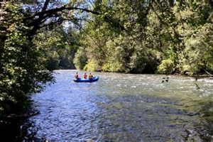 Your Guide: Rafting McKenzie River, Oregon Adventures! | Your Ultimate Guide to Rafting Adventures, Gear & River Trips