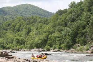 Plan Your Adventure: Whitewater Rafting near Asheville, NC | Your Ultimate Guide to Rafting Adventures, Gear & River Trips