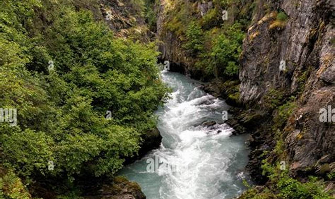 Thrilling Alaska Whitewater Rafting Trips & Adventures! Your Ultimate Guide to Rafting Adventures, Gear & River Trips Thrilling Alaska Whitewater Rafting Trips & Adventures! | Your Ultimate Guide to Rafting Adventures, Gear & River Trips